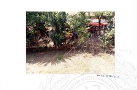 ARKEOLOGI SG. MAS, KEDAH SM: 32-4/ 93 VOL: 3 W