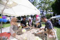 HMA 2024 - SPEED DATING WITH MUSEUM PRACTITIONERS