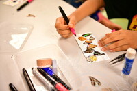 HMA 2024 - BUTTERFLY WING WORKSHOP BY ENTOPIA PENANG