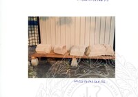 ARKEOLOGI SG. MAS, KEDAH SM : 32-4/93 VOL:2 W