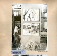 BAHAN PAMERAN DURIAN RAJA SEGALA BUAH