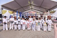 HMA 2025- 26.7.2025 -  PERTUNJUKAN TAEKWONDO