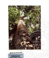 PAMERAN TEROKAI HANTU 2002 (JILID 3)