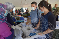 KURSUS KONSERVASI PERSENJATAAN ERA PERANG DI MUZIUM TENTERA , PORT DICKSON