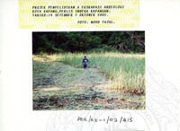 ARKEOLOGI KOTA KAYANG PERLIS 2002 JILID 3