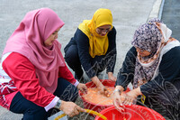 PROGRAM JOM KACAU BUBUR ASYURA ANJURAN SURAU AL FALAH, PKSR DAN PUSPANITA