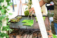 PROGRAM ANAK SARAWAK