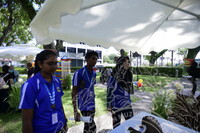 HMA 2024 - SPEED DATING WITH MUSEUM PRACTITIONERS