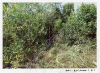 ARKEOLOGI SG. MAS, KEDAH SM: 32/ 2001/ 1-251 (JILID 1)