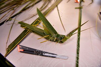 HMA 2024 - BENGKEL SENI ANYAMAN BELALANG