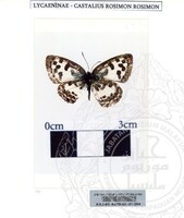 ALAM SEMULAJADI RAMA-RAMA JILID 1