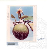 KOLEKSI PAMERAN ALAM SEMULAJADI 1994