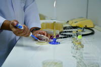 PENDOKUMENTASIAN TEKNIK SINARGAMA KEATAS KOLEKSI BAHAN NADIR JMM DI AGENSI NUKLEAR MALAYSIA