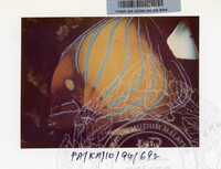 PAMERAN KEINDAHAN ALAM 1994 3