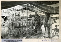 PEMUJAAN PANTAI  ( 148)