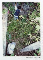 ARKEOLOGI SG. MAS, KEDAH SM: 32/ 2001/ 1-251 (JILID 1)