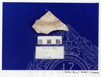 ARKEOLOGI SG. MAS, KEDAH SM : 32 / 2001 / 252 - 498 (JILID 2)