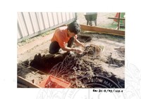 ARKEOLOGI SG. MAS, KEDAH SM: 32-5/ 93 VOL: 3 W