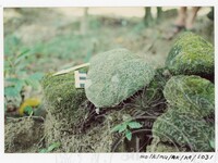 BANGUNAN MUZIUM ARKEOLOGI LEMBAH BUJANG KEDAH - JILID 4