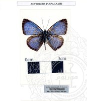 ALAM SEMULAJADI RAMA-RAMA JILID 1