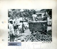 BAHAN PAMERAN DURIAN RAJA SEGALA BUAH