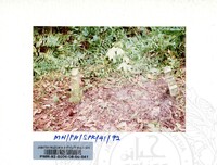 KOLEKSI PAMERAN ARKEOLOGI