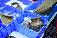 BENGKEL INDENTIFIKASI DAN KLASIFIKASI KOLEKSI ARKEOLOGI