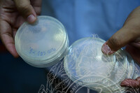 PENDOKUMENTASIAN TEKNIK SINARGAMA KEATAS KOLEKSI BAHAN NADIR JMM DI AGENSI NUKLEAR MALAYSIA