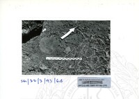 ARKEOLOGI SG. MAS, KEDAH SM : 32-3/93 VOL : 6 HP