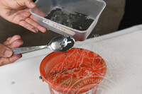 KERJA-KERJA PENYELIDIKAN DI PAHANG, TERENGGANU, KELANTAN