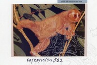 PAMERAN KEINDAHAN ALAM 1994 3