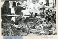 PEMUJAAN PANTAI  ( 148)