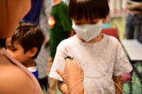 HMA 2024 - BUTTERFLY WING WORKSHOP BY ENTOPIA PENANG