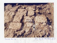 ARKEOLOGI SG. MAS, KEDAH SM: 32-8/95 (JILID 2) (WARNA)