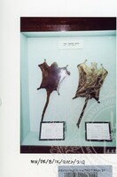 PAMERAN BALAI ILMU KEJADIAN 2002 BALAI C