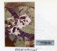 PAMERAN KEINDAHAN ALAM 1994 (2)