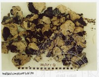 BANGUNAN CHIMNEY WP LABUAN - 028