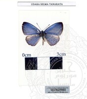 ALAM SEMULAJADI RAMA-RAMA JILID 1