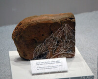 GALERI A (Sejarah Awal)