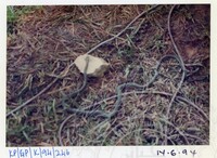 ARKEOLOGI GUA PERALING KELANTAN 1994 JILID 1 