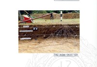 PENYELIDIKAN ARKEOLOGI BATU MEGALITH, SIMPANG EMPAT, TABOH NANING, ALOR GAJAH, MELAKA (FASA 2)