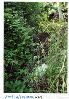 ARKEOLOGI SG, MAS, KEDAH  SM: 32-14/ 2000 (JILID 3)