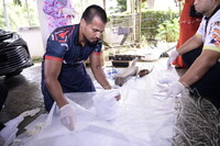 DERMA ARTIFAK OLEH DATO' INDERA NORIDAH BINTI ABDUL RAHIM