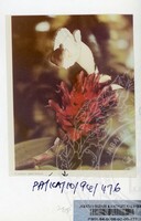 PAMERAN KEINDAHAN ALAM 1994 (2)