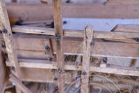 FOTO DOKUMENTASI PENILAIAN AWAL FIZIKAL DAN KONDISI KOLEKSI YANG DISUMBANGKAN KEPADA JMM