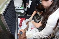 GAMBAR KOLEKSI DAN PENGENDALIAN PAMERAN GELARI 1