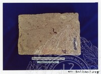 ARKEOLOGI SG. MAS, KEDAH SM : 32 / 2001 / 252 - 498 (JILID 2)