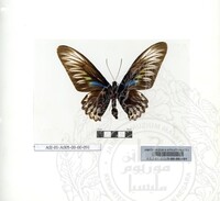 ALAM SEMULAJADI RAMA-RAMA JILID 1