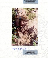 ARKEOLOGI SUNGAI MAS KEDAH 1993 FASA 2 W JILID 2