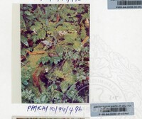 PAMERAN KEINDAHAN ALAM 1994 (2)